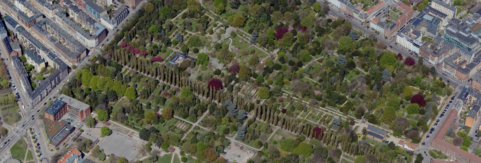 Skråfoto af Assistens Kirkegård